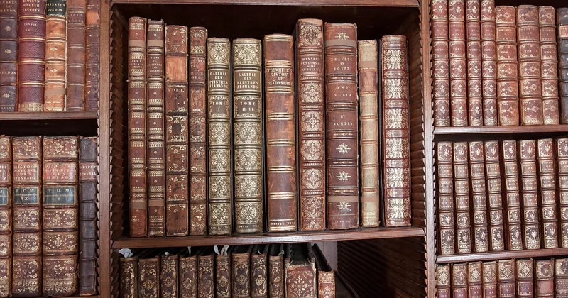 Are Classics So Hard to Read? (The Barrier of Language)