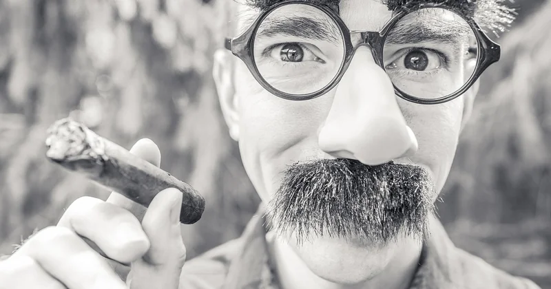 The Over-Interpretation Trap: When a Cigar Is Just a Cigar