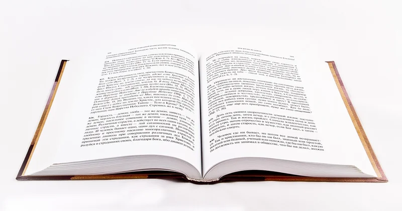 What Are Considered the Classics in Literature? (The Missing Perspectives)
